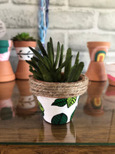 Load image into Gallery viewer, Mini Macrame Plant Hanger

